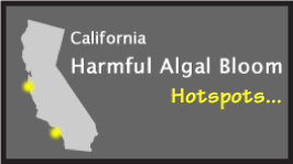 hotspots logo