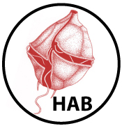 HAB