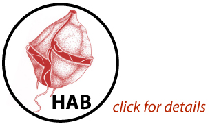 HAB logo